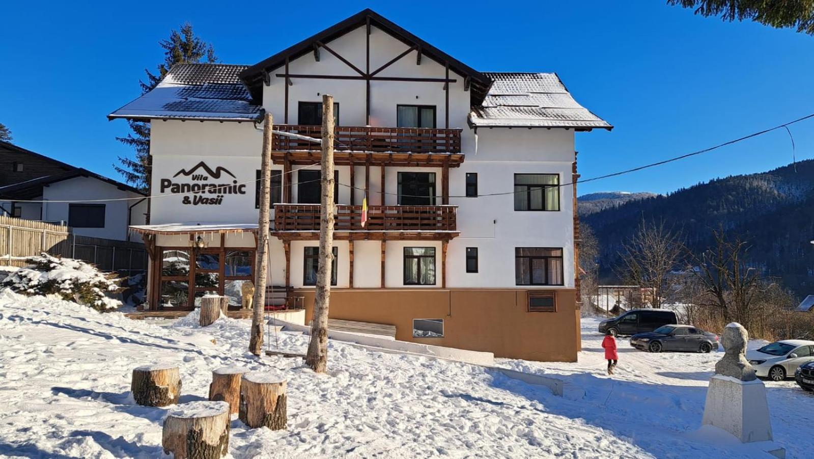 Vila Panoramic 부스테니 외부 사진